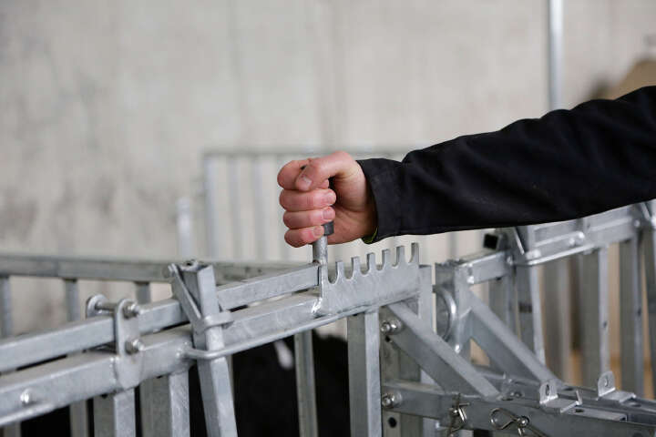 KERBL Modulare Zaunaufstallung Fanggitter